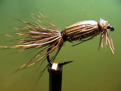 Fly tying - Cooper Bug - Step 5