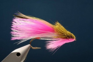 Fly tying - M.M. Rainbow Muddler - Step 10