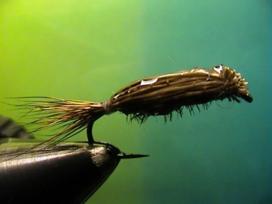 Fly tying - Cooper Bug - Step 4