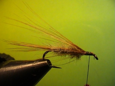 Fly tying - R.T.-Sedge - Step 2