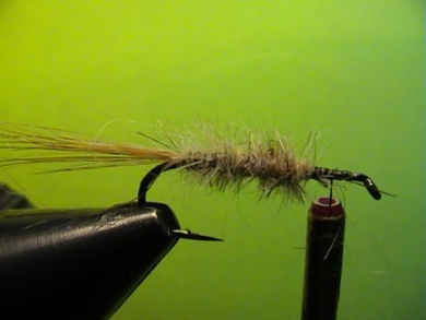 Fly tying - R.T.-Sedge - Step 1