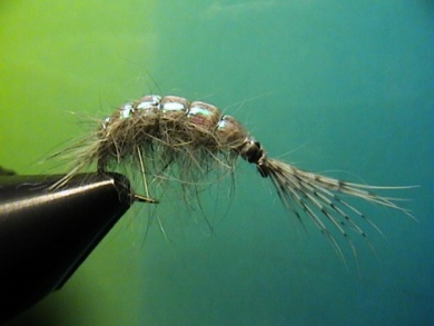 Fly tying - Bachflohkrebs - Step 8