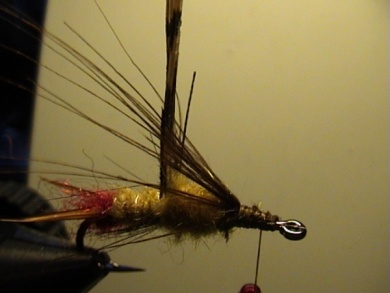 Fly tying - Bachflohkrebs - Step 4