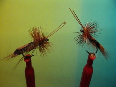 Fly tying - R.T.-Sedge - Step 6