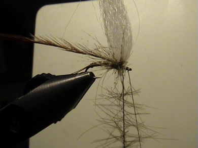 Fly tying - Bachflohkrebs - Step 6