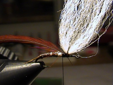 Fly tying - Maifly Parachut - Step 4