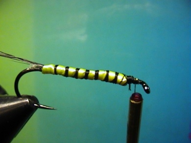 Fly tying - Band-Maifliege - Step 3