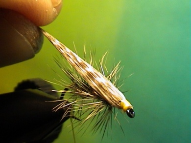 Fly tying - Babble Mayfly Emerger - Step 4