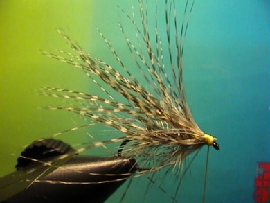 Fly tying - Babble Mayfly Emerger - Step 3
