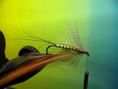 Fly tying - Band-Maifliege - Step 6