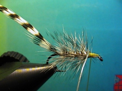 Fly tying - Babble Mayfly Emerger - Step 2