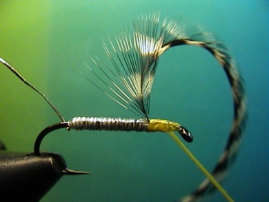 Fly tying - Babble Mayfly Emerger - Step 1