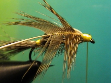 Fly tying - Babble Mayfly Emerger - Step 7