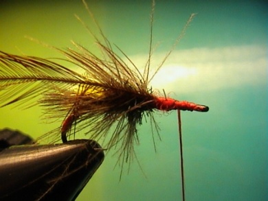 Fly tying - Grayling Attractor - Step 9