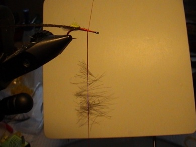 Fly tying - Grayling Attractor - Step 6