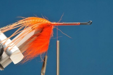 Fly tying - Hula Dancer - Step 3