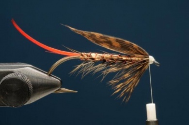 Fly tying - Copper Ilusion - Step 7