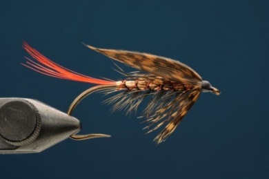 Fly tying - Copper Ilusion - Step 8