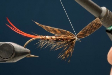Fly tying - Copper Ilusion - Step 6