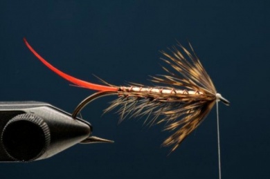 Fly tying - Copper Ilusion - Step 4