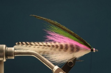 Fly tying - Rainbow Warrior - Step 5