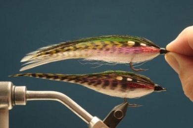 Fly tying - Rainbow Warrior - Step 8