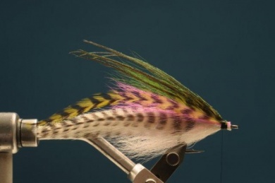 Fly tying - Rainbow Warrior - Step 6