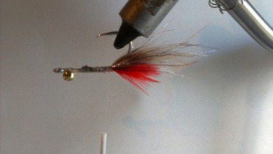 Fly tying - EP fiber shrimp - Step 3