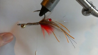 Fly tying - EP fiber shrimp - Step 7