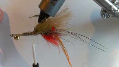 Fly tying - EP fiber shrimp - Step 10
