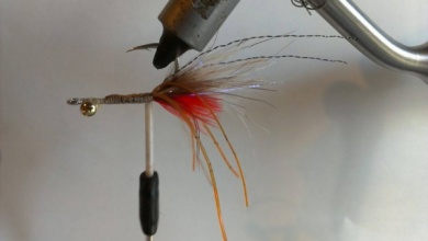 Fly tying - EP fiber shrimp - Step 6