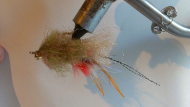 Fly tying - EP fiber shrimp - Step 11