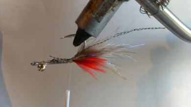 Fly tying - EP fiber shrimp - Step 5
