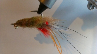 Fly tying - EP fiber shrimp - Step 12