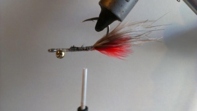 Fly tying - EP fiber shrimp - Step 4