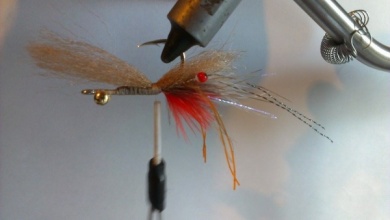 Fly tying - EP fiber shrimp - Step 8