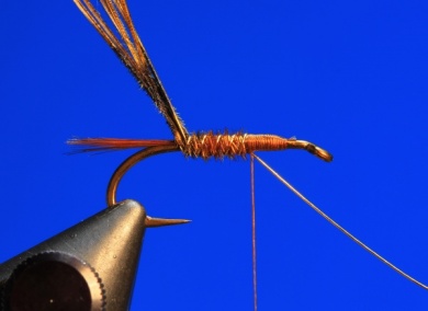 Fly tying - Pheasant Tail - Step 4