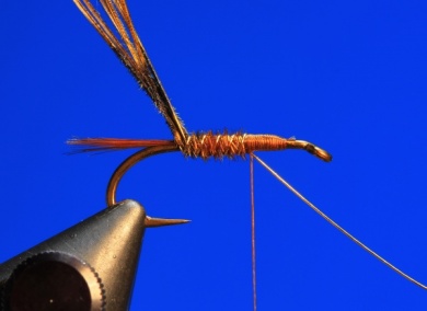 Paso a paso - Pheasant Tail - Paso 4