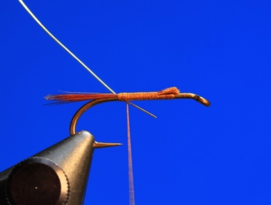 Fly tying - Pheasant Tail - Step 2