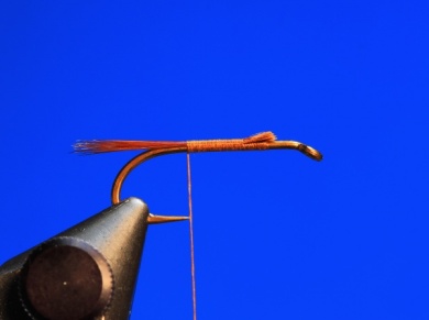 Fly tying - Pheasant Tail - Step 2