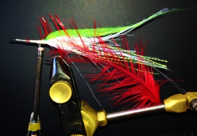 Fly tying - Gurglerslider - My Brazilian invention. - Step 5