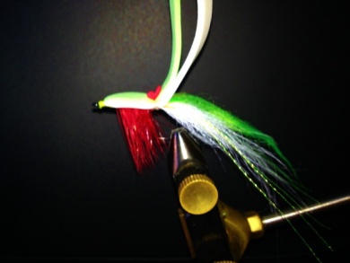 Fly tying - Gurglerslider - My Brazilian invention. - Step 11