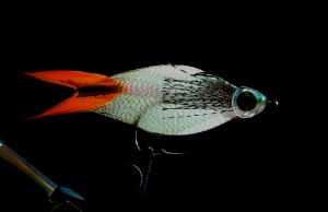 M.M. Silver Mojarra