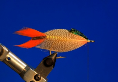 Fly tying - M.M. Silver Mojarra - Step 5