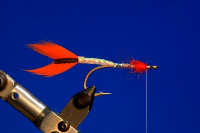 Fly tying - M.M. Silver Mojarra - Step 3