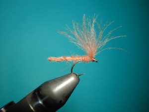 CDC "Twisted Hackle"