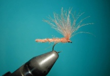 CDC "Twisted Hackle"