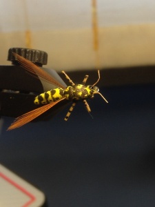 crazy rubber legs wasp