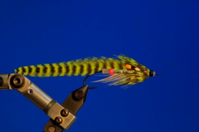 Fly tying - M.M. Doubletuka Chartreuse - Step 8