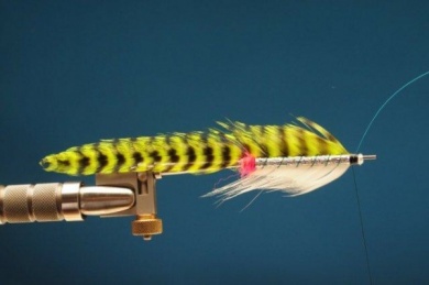 Fly tying - M.M. Doubletuka Chartreuse - Step 5